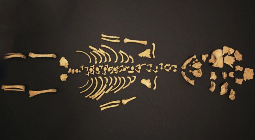L'antropologia forense