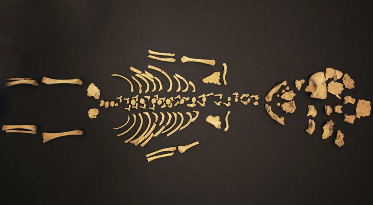 L'antropologia forense